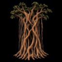 strangler fig