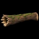 fallen mossy log
